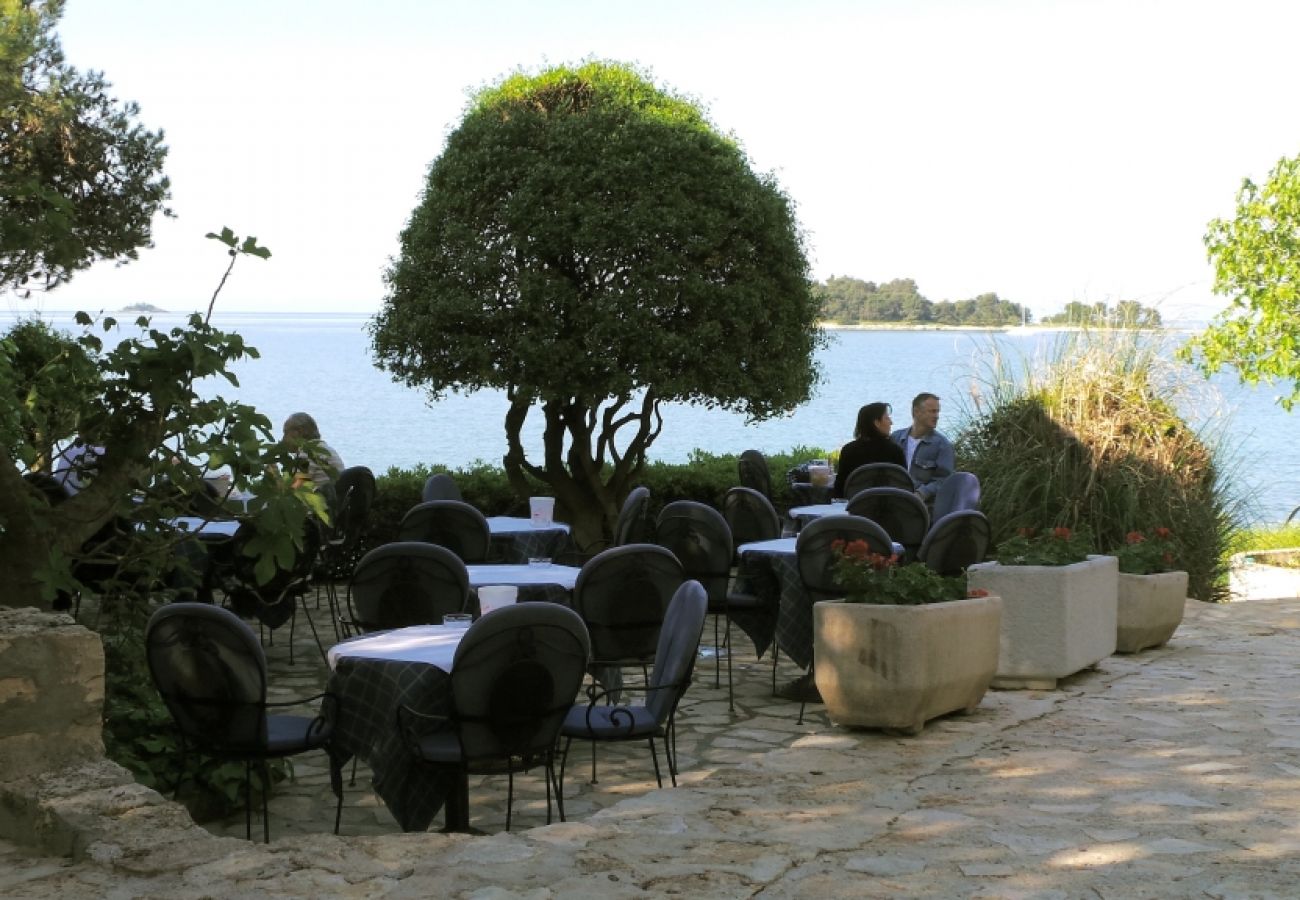 Chambres d'hôtes à Rovinj - Chambre dans Rovinj avec terrasse, Climatisation, WIFI (81-5)