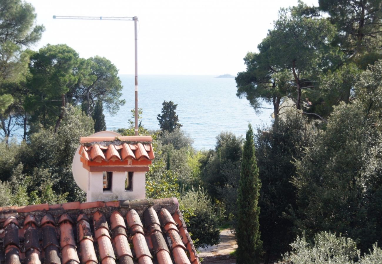 Appartement à Rovinj - Appartement dans Rovinj avec vue mer, terrasse, Climatisation, WIFI (96-5)