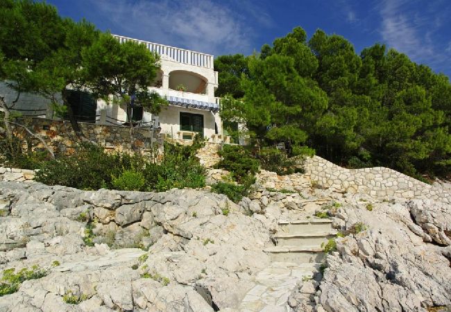 Appartement à Vela Luka - Appartement dans Tri Porte (Potirna) avec vue mer, terrasse, Climatisation, WIFI (5208-2) Appartement à Vela Luka - Appartement dans Tri Porte (Potirna) avec vue mer, terrasse, Climatisation, WIFI (5208-2)