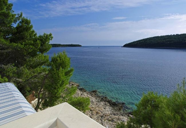 Appartement à Vela Luka - Appartement dans Tri Porte (Potirna) avec vue mer, terrasse, Climatisation, WIFI (5208-2) Appartement à Vela Luka - Appartement dans Tri Porte (Potirna) avec vue mer, terrasse, Climatisation, WIFI (5208-2)