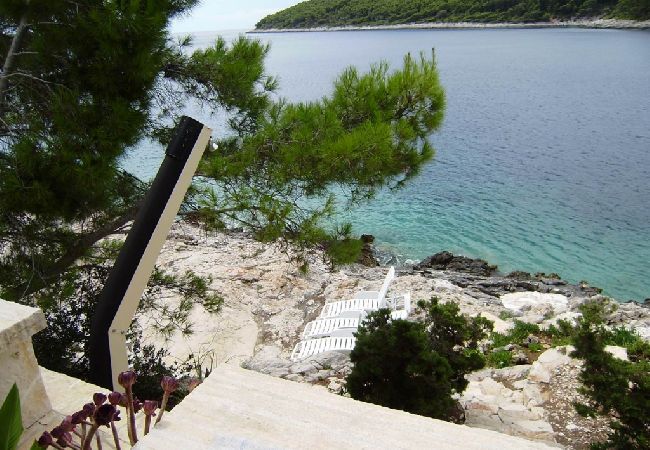Appartement à Vela Luka - Appartement dans Tri Porte (Potirna) avec vue mer, terrasse, Climatisation, WIFI (5208-2) Appartement à Vela Luka - Appartement dans Tri Porte (Potirna) avec vue mer, terrasse, Climatisation, WIFI (5208-2)