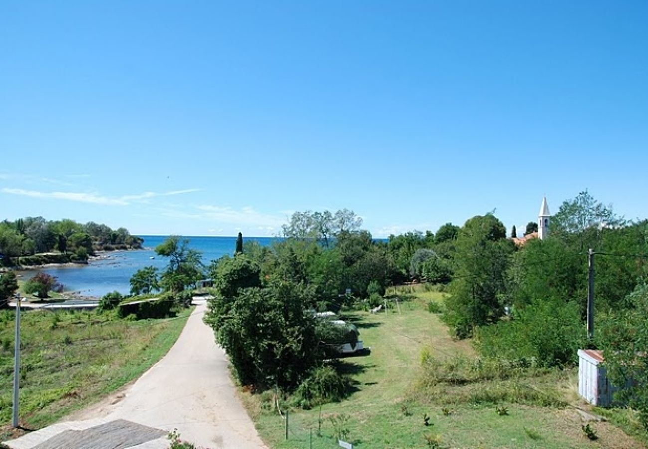 Studio à Savudrija - Appartement Studio dans Savudrija avec vue mer, terrasse, Climatisation, WIFI (123-2)