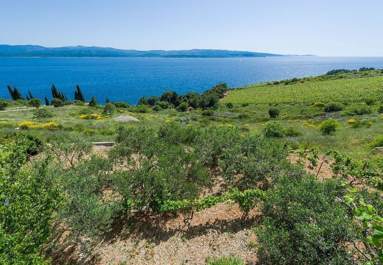 Maison à Murvica - Maison de vacances dans Murvica avec vue mer, terrasse, Climatisation, WIFI (146-1)