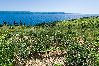 Appartement à Murvica - Appartement dans Murvica avec vue mer, terrasse, Climatisation, WIFI (146-2) Appartement à Murvica - Appartement dans Murvica avec vue mer, terrasse, Climatisation, WIFI (146-2)