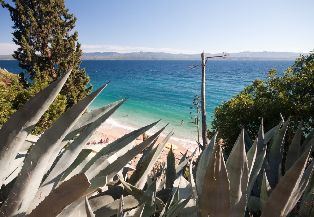 Maison à Bol - Maison de vacances dans Bol avec vue mer, terrasse, Climatisation, WIFI (154-1)