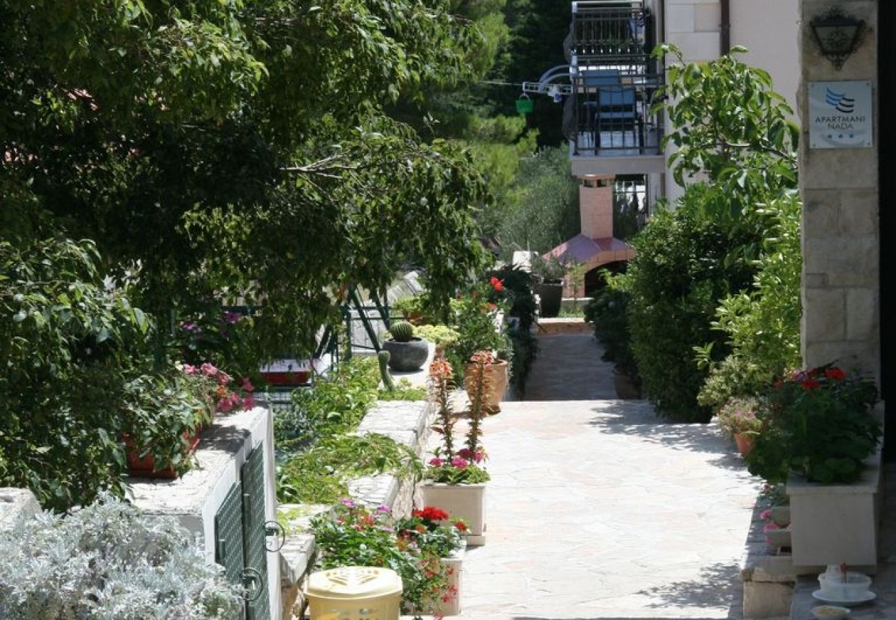 Appartement à Bol - Appartement dans Bol avec vue mer, terrasse, Climatisation, WIFI (155-1)