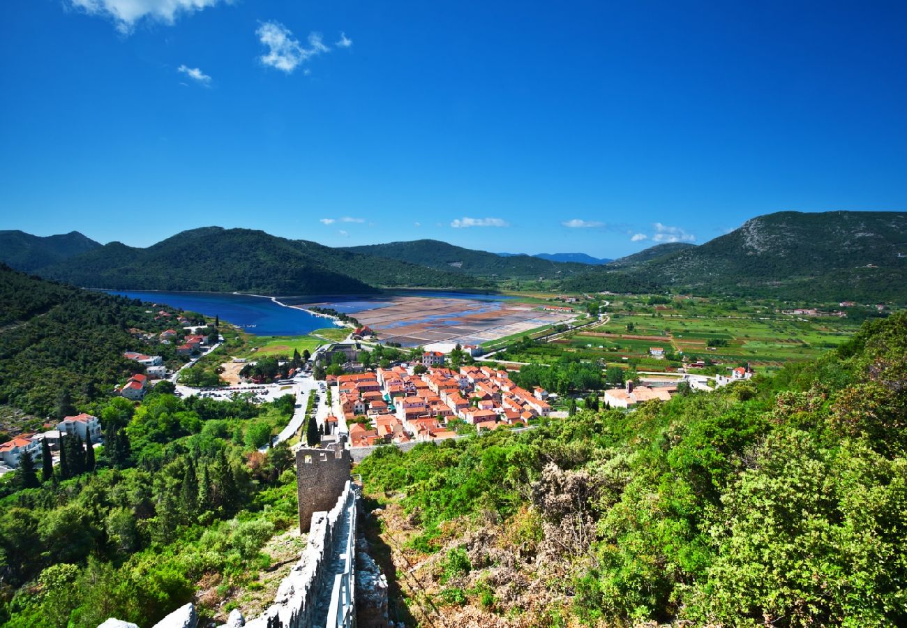 Maison à Viganj - Maison de vacances dans Viganj avec vue mer, terrasse, Climatisation, WIFI (160-1)