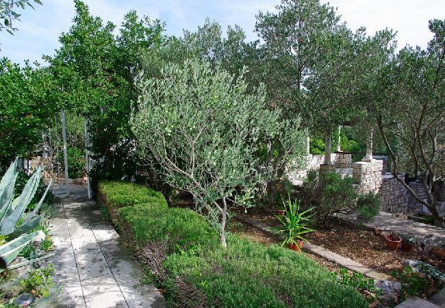 Maison à Vela Luka - Maison de vacances dans Tri Porte (Potirna) avec vue mer, terrasse, Climatisation, WIFI (166-1) Maison à Vela Luka - Maison de vacances dans Tri Porte (Potirna) avec vue mer, terrasse, Climatisation, WIFI (166-1)