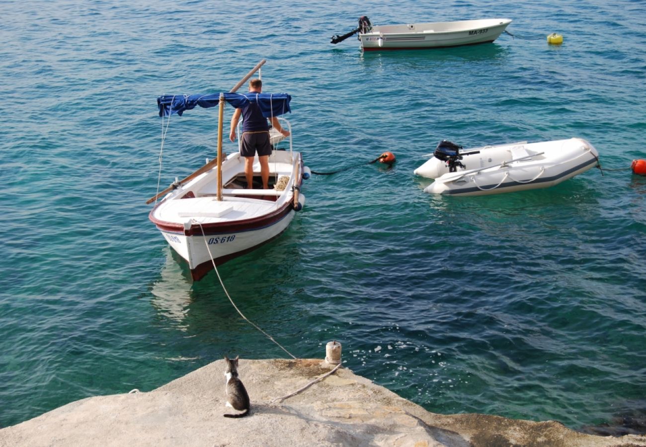 Appartement à Pisak - Appartement dans Pisak avec vue mer, Balcon, Climatisation, WIFI (195-1)