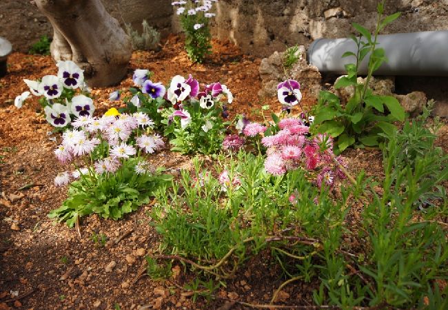 Appartement à Stara Novalja - Appartement dans Stara Novalja avec vue mer, terrasse, Climatisation, WIFI (183-3) Appartement à Stara Novalja - Appartement dans Stara Novalja avec vue mer, terrasse, Climatisation, WIFI (183-3)