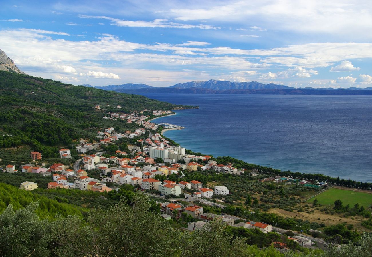 Appartement à Tucepi - Appartement dans Tučepi avec terrasse, Climatisation, WIFI, Machine à laver (202-3)