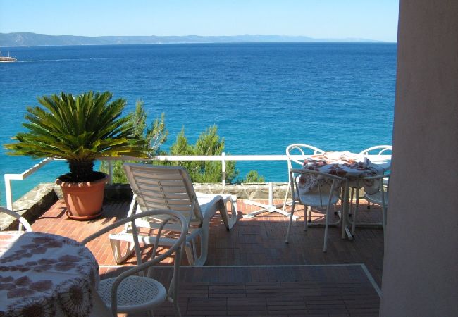 Podgora - Appartement