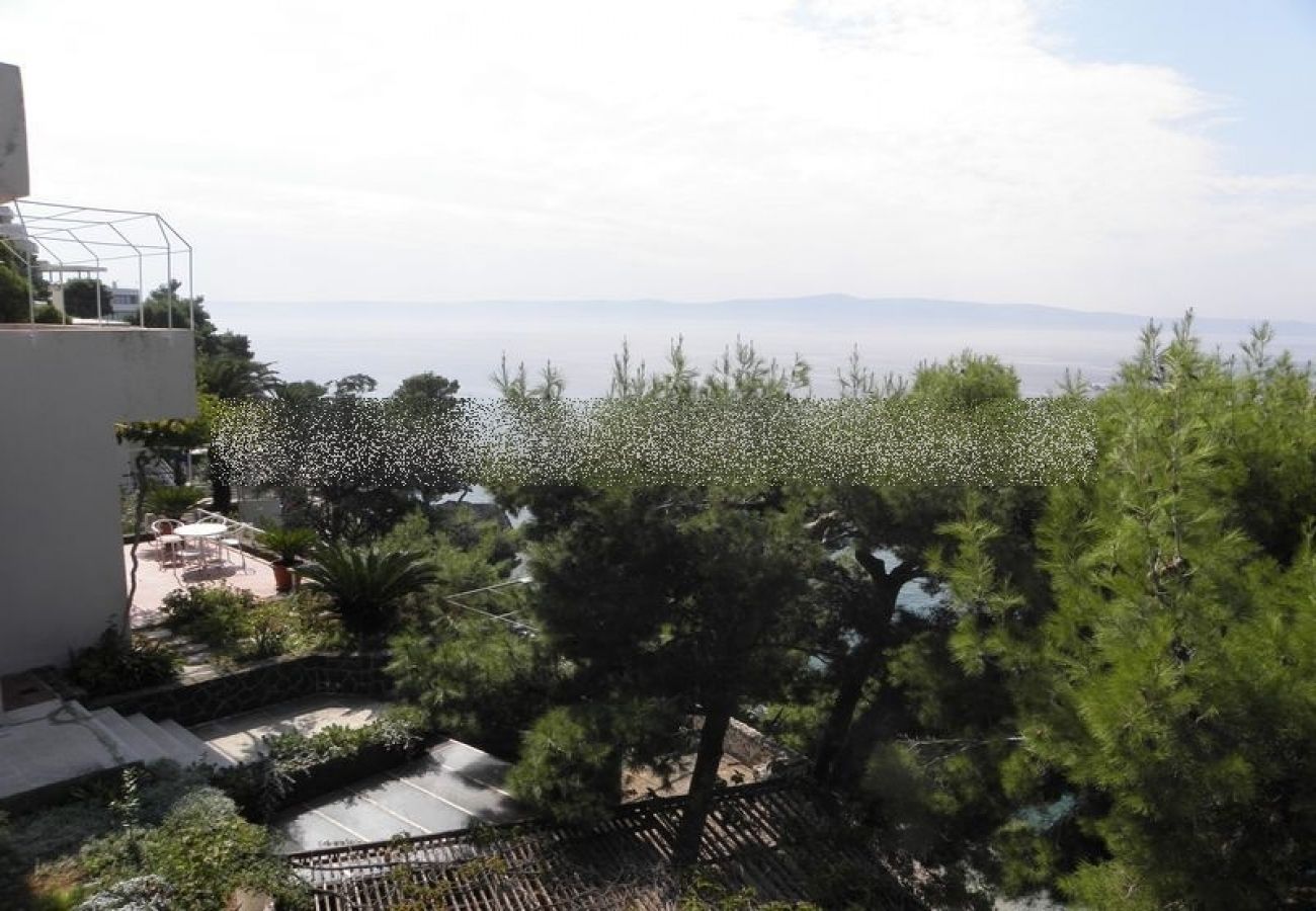 Appartement à Podgora - Appartement dans Podgora avec vue mer, terrasse, Climatisation, WIFI (205-2)