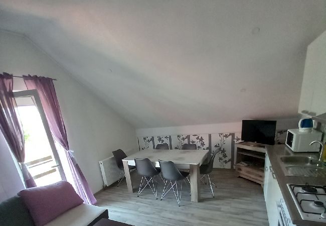 Appartement à Rakovica - Appartement dans Rakovica avec terrasse, Climatisation, WIFI (601-1) Appartement à Rakovica - Appartement dans Rakovica avec terrasse, Climatisation, WIFI (601-1)