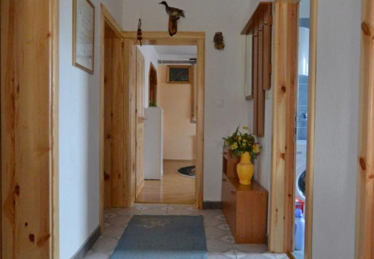 Appartement à Rakovica - Appartement dans Rakovica avec Balcon, WIFI (601-2)