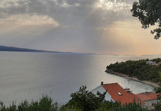 Appartement à Stanici - Ferienwohnung in Stanići mit Meerblick, Balkon, Klimaanlage, W-LAN (634-1) Appartement à Stanici - Ferienwohnung in Stanići mit Meerblick, Balkon, Klimaanlage, W-LAN (634-1)