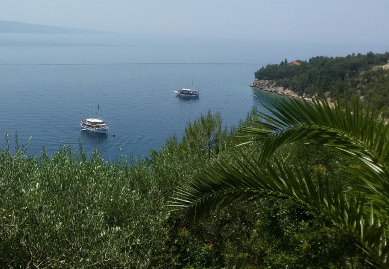 Appartement à Stanici - Ferienwohnung in Stanići mit Meerblick, Balkon, Klimaanlage, W-LAN (634-1)