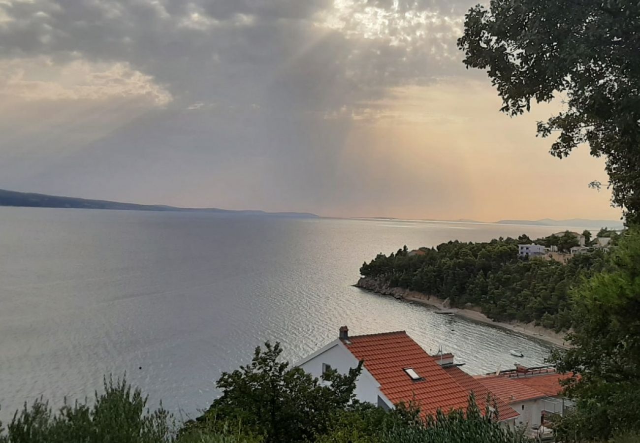 Appartement à Stanici - Ferienwohnung in Stanići mit Meerblick, Balkon, Klimaanlage, W-LAN (634-1)