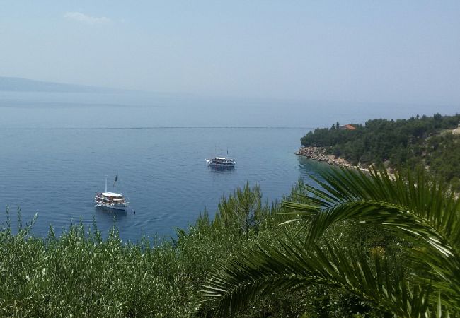 Appartement à Stanici - Ferienwohnung in Stanići mit Meerblick, Balkon, Klimaanlage, W-LAN (634-3) Appartement à Stanici - Ferienwohnung in Stanići mit Meerblick, Balkon, Klimaanlage, W-LAN (634-3)