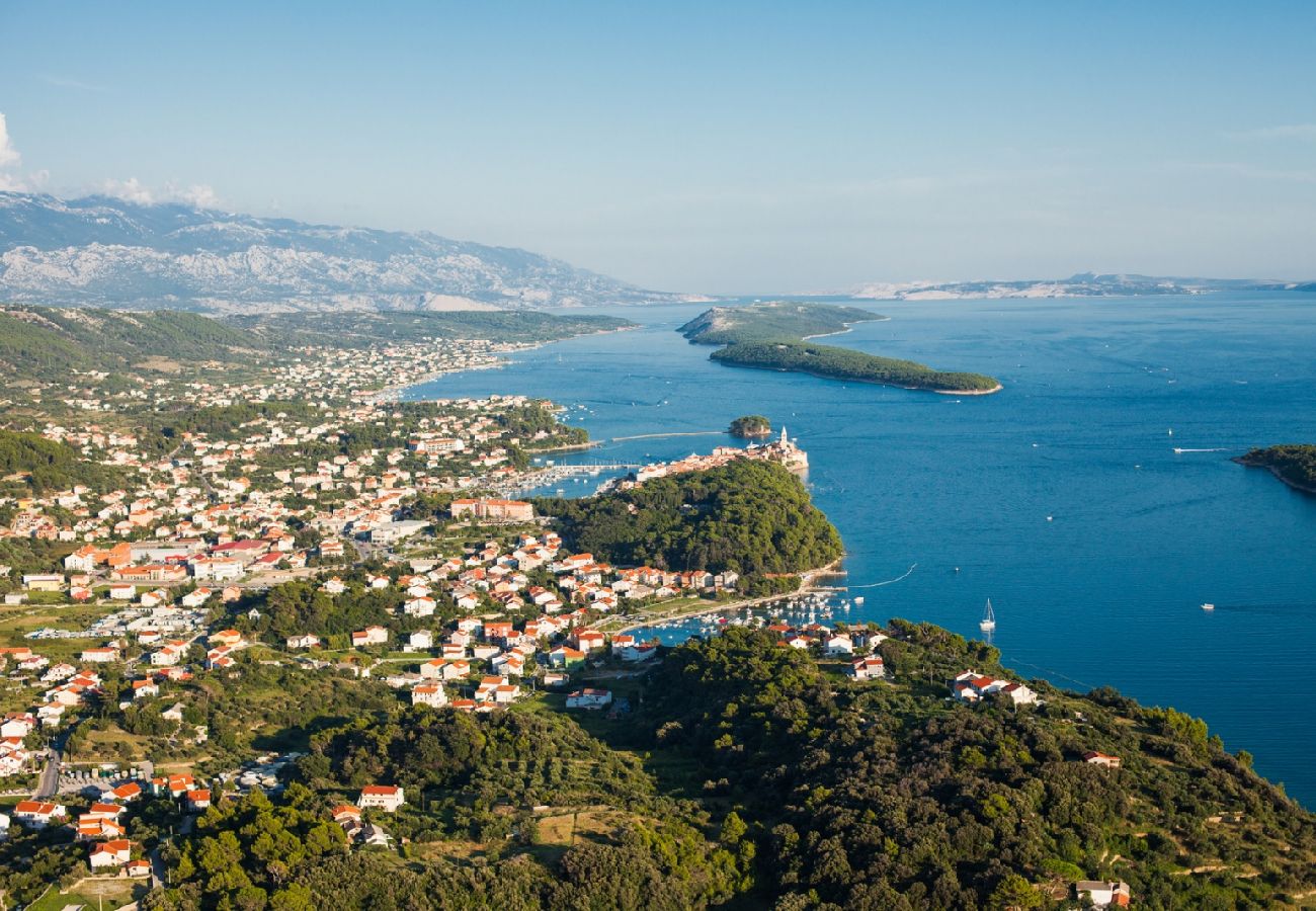 Appartement à Rab - Appartement dans Barbat avec vue mer, Balcon, Climatisation (660-1)