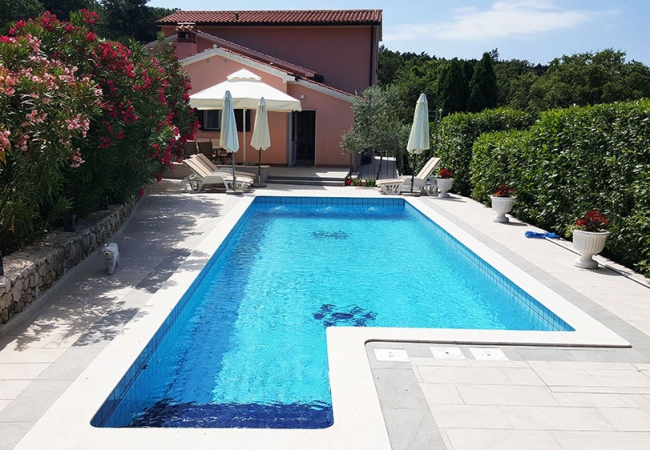 Maison à Ripenda Kras - Maison de vacances dans Ripenda Kras avec loggia, Climatisation, WIFI, Machine à laver (676-1)