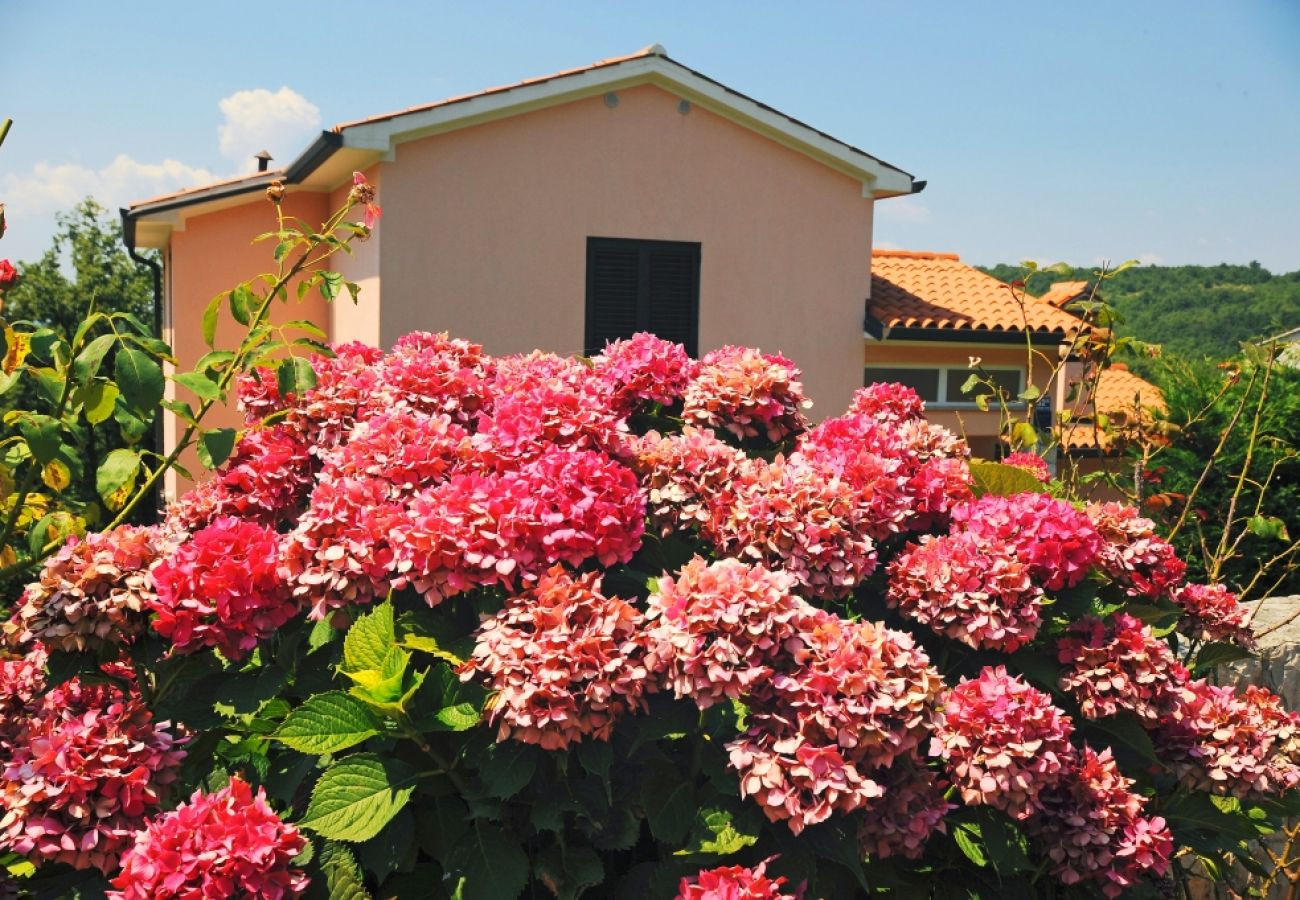 Maison à Ripenda Kras - Maison de vacances dans Ripenda Kras avec loggia, Climatisation, WIFI, Machine à laver (676-1)