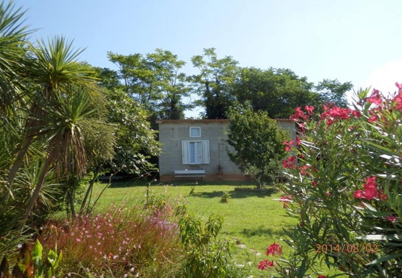 Maison à Savudrija - Maison de vacances dans Savudrija avec terrasse, Climatisation, WIFI, Machine à laver (123-11)