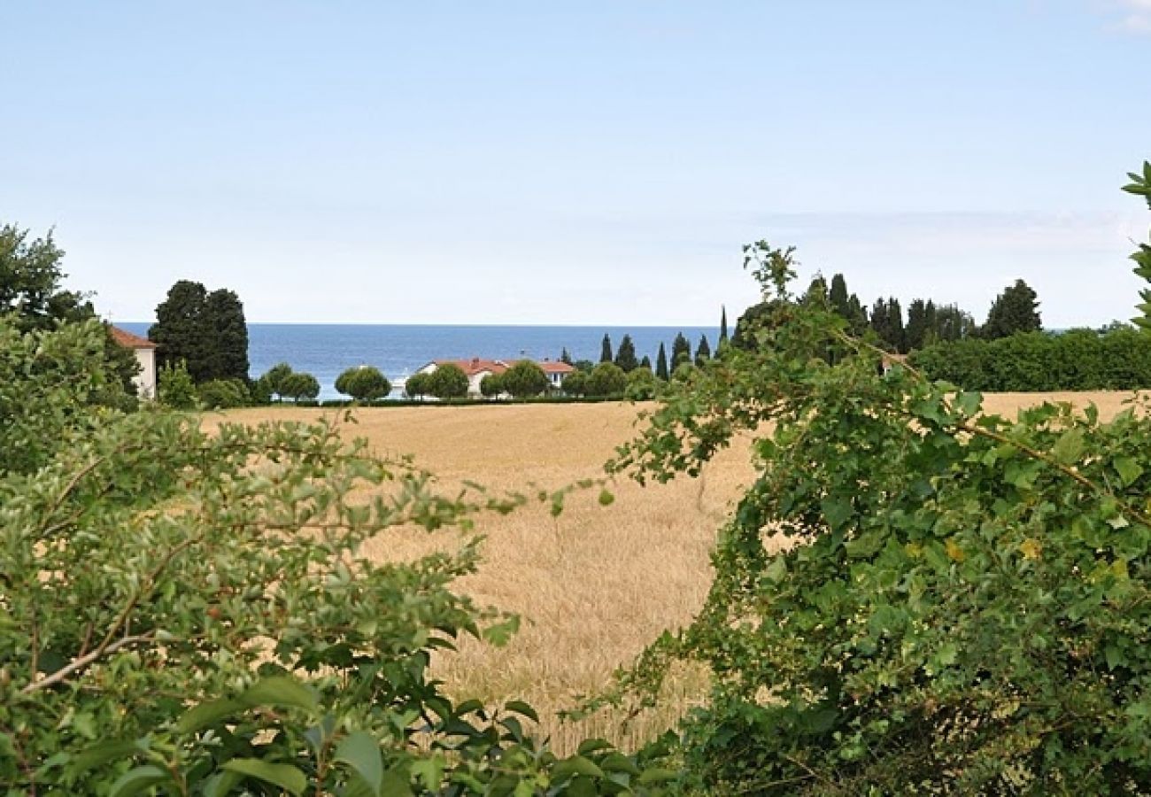 Maison à Savudrija - Maison de vacances dans Savudrija avec terrasse, Climatisation, WIFI, Machine à laver (123-11)