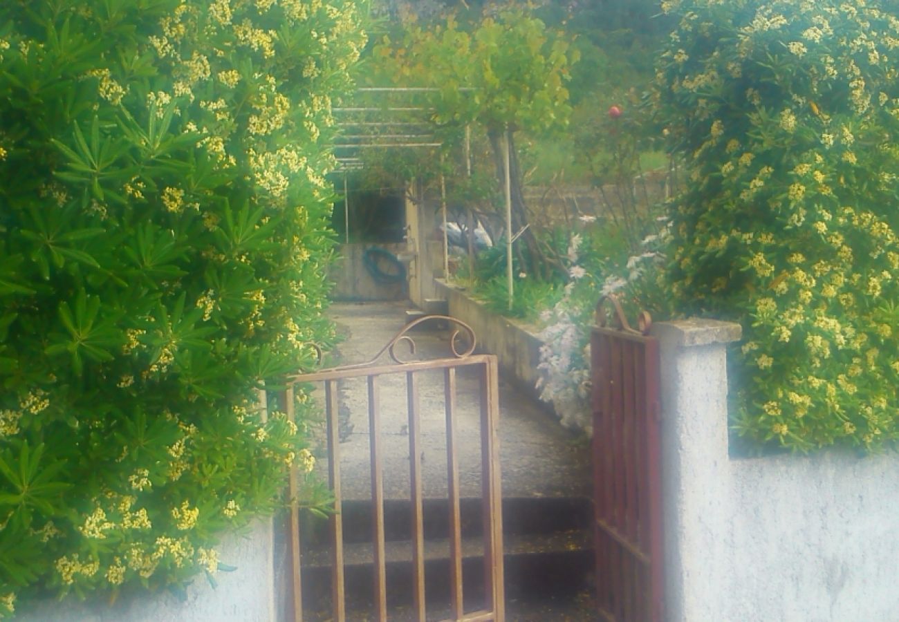 Maison à Viganj - Ferienhaus in Viganj mit Meerblick, Terrasse, W-LAN, Waschmaschine (825-1)