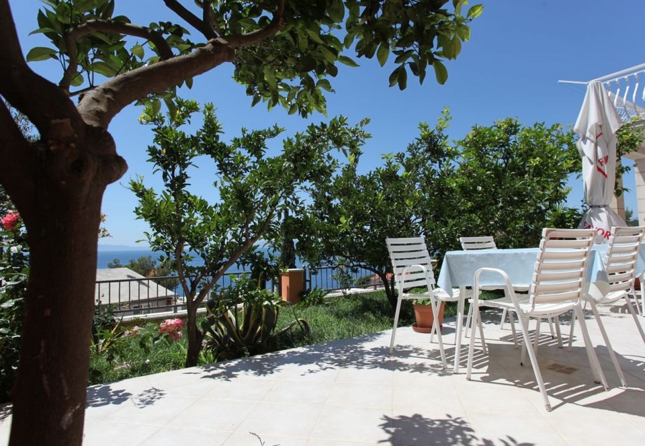 Appartement à Podgora - Appartement dans Podgora avec vue mer, terrasse, Climatisation, WIFI (849-1)