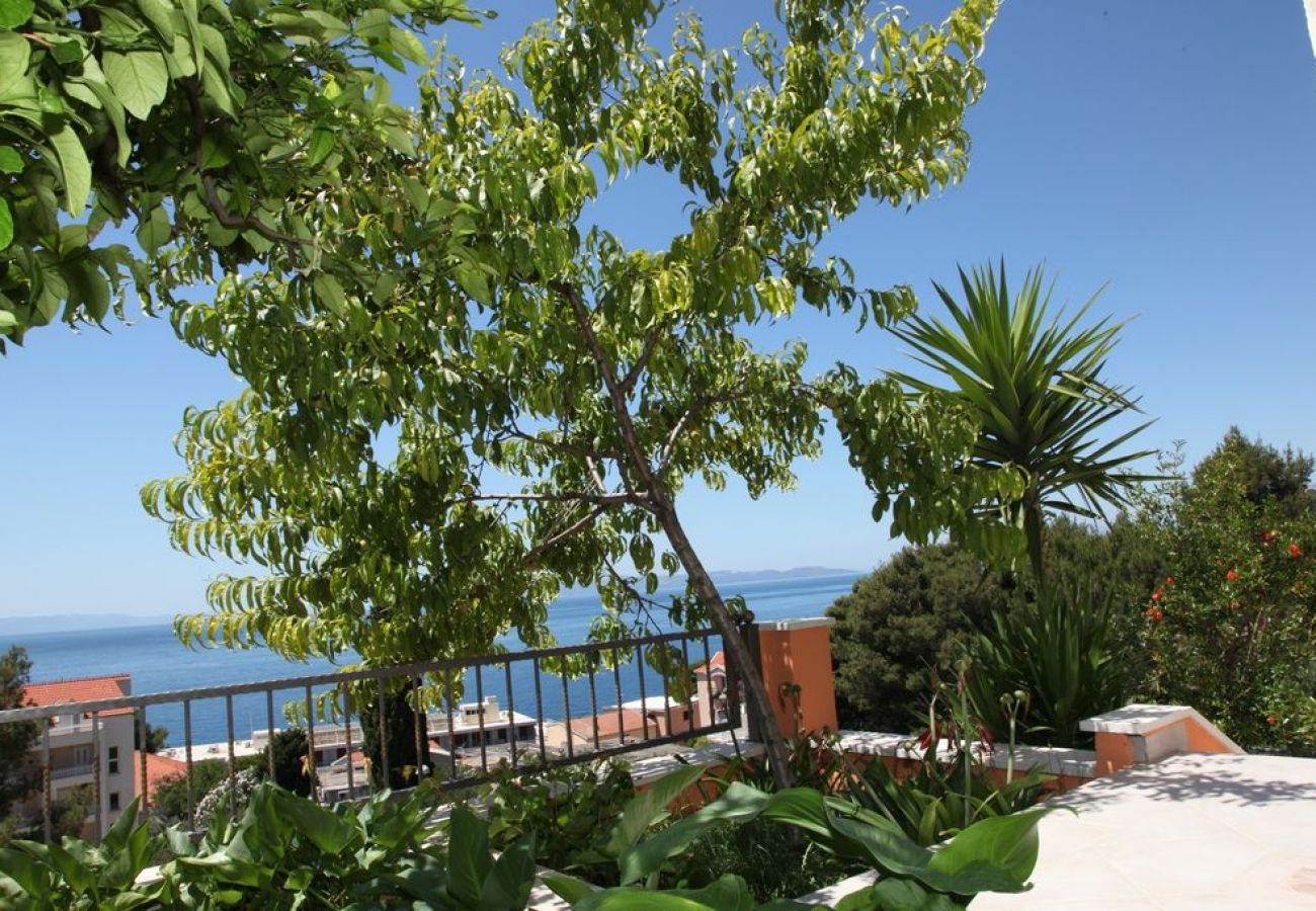 Appartement à Podgora - Appartement dans Podgora avec vue mer, terrasse, Climatisation, WIFI (849-1)