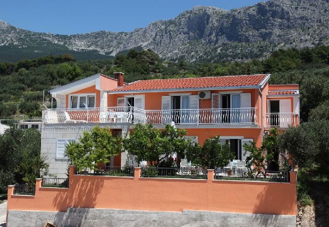 Podgora - Appartement