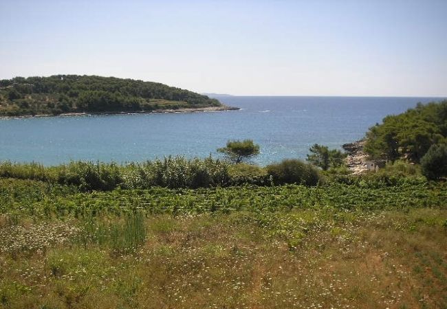 Appartement à Lumbarda - Appartement dans Lumbarda avec vue mer, terrasse, Climatisation, WIFI (856-2) Appartement à Lumbarda - Appartement dans Lumbarda avec vue mer, terrasse, Climatisation, WIFI (856-2)