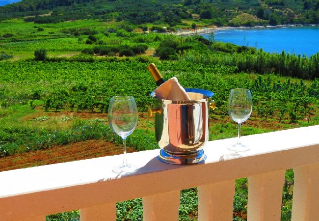 Appartement à Lumbarda - Appartement dans Lumbarda avec vue mer, terrasse, Climatisation, WIFI (856-3) Appartement à Lumbarda - Appartement dans Lumbarda avec vue mer, terrasse, Climatisation, WIFI (856-3)