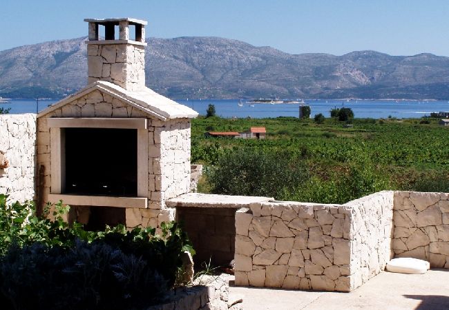 Appartement à Lumbarda - Appartement dans Lumbarda avec vue mer, terrasse, Climatisation, WIFI (856-3) Appartement à Lumbarda - Appartement dans Lumbarda avec vue mer, terrasse, Climatisation, WIFI (856-3)