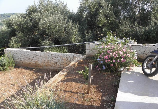 Appartement à Lumbarda - Appartement dans Lumbarda avec vue mer, terrasse, Climatisation, WIFI (856-3) Appartement à Lumbarda - Appartement dans Lumbarda avec vue mer, terrasse, Climatisation, WIFI (856-3)