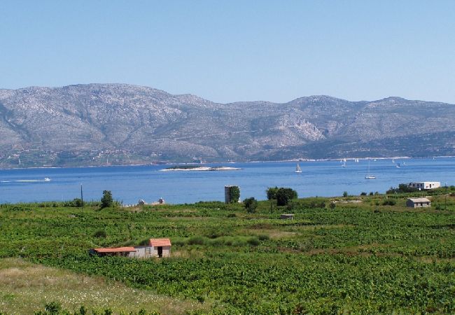 Appartement à Lumbarda - Appartement dans Lumbarda avec vue mer, terrasse, Climatisation, WIFI (856-3) Appartement à Lumbarda - Appartement dans Lumbarda avec vue mer, terrasse, Climatisation, WIFI (856-3)