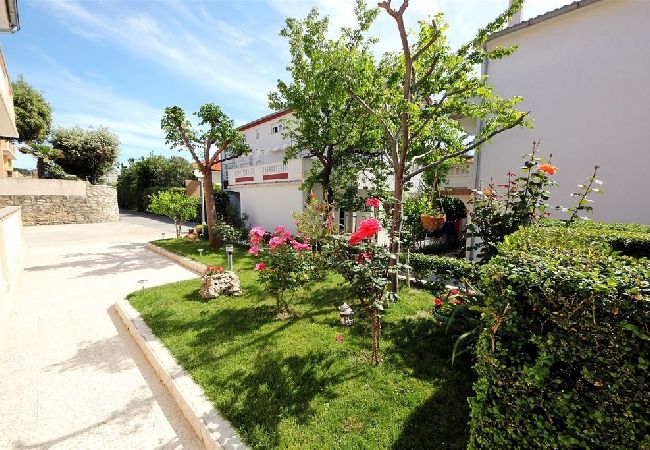 Appartement à Palit - Appartement dans Palit avec terrasse, Climatisation, WIFI, Lave-vaisselle (820-2) Appartement à Palit - Appartement dans Palit avec terrasse, Climatisation, WIFI, Lave-vaisselle (820-2)