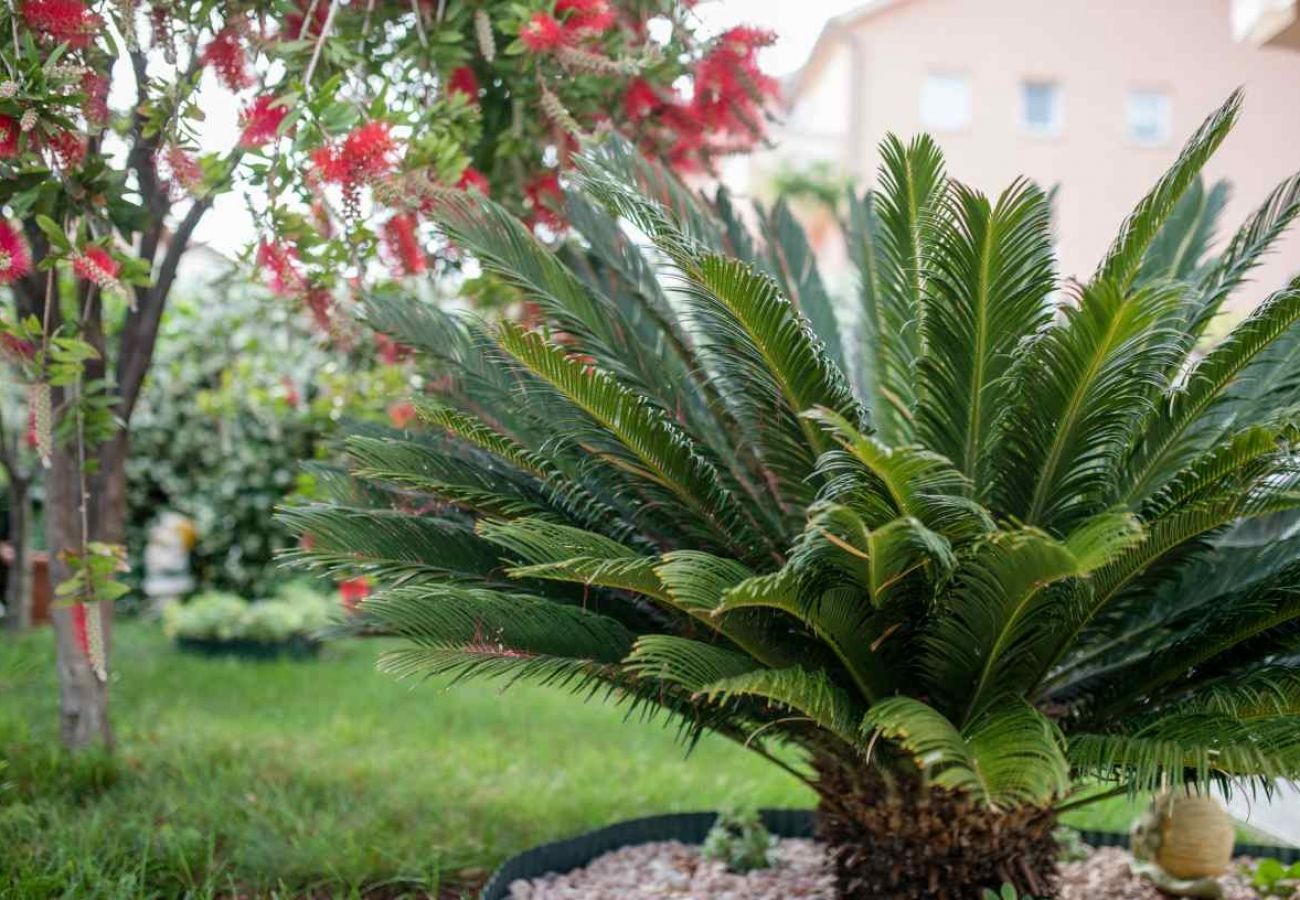 Appartement à Palit - Appartement dans Palit avec terrasse, Climatisation, WIFI, Lave-vaisselle (820-2)