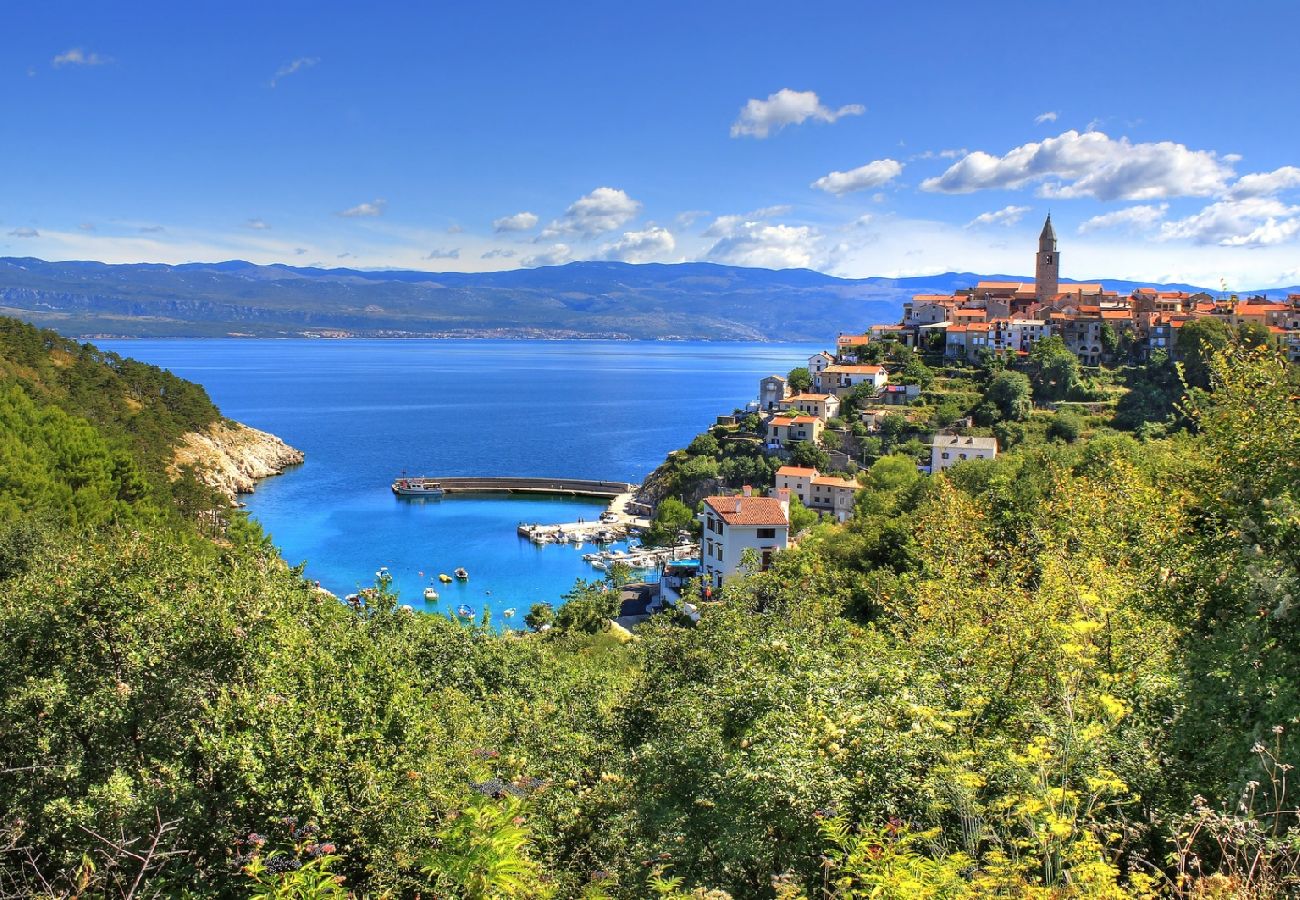 Studio à Baška - Appartement Studio dans Baška avec terrasse, Climatisation, WIFI, Machine à laver (863-1)