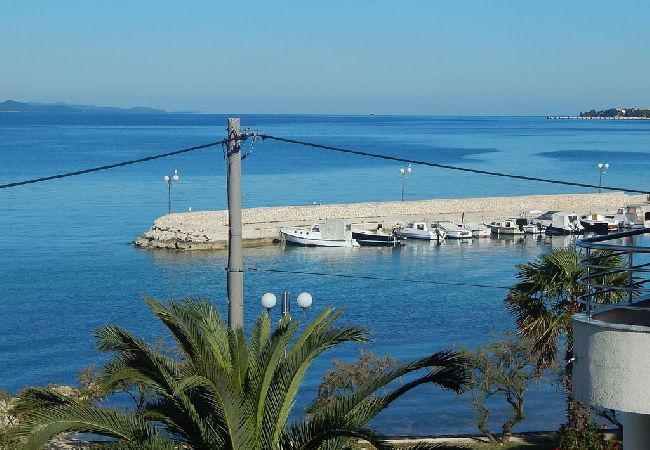 Appartement à Bibinje - Appartement dans Bibinje avec vue mer, Balcon, Climatisation, WIFI (5193-5) Appartement à Bibinje - Appartement dans Bibinje avec vue mer, Balcon, Climatisation, WIFI (5193-5)