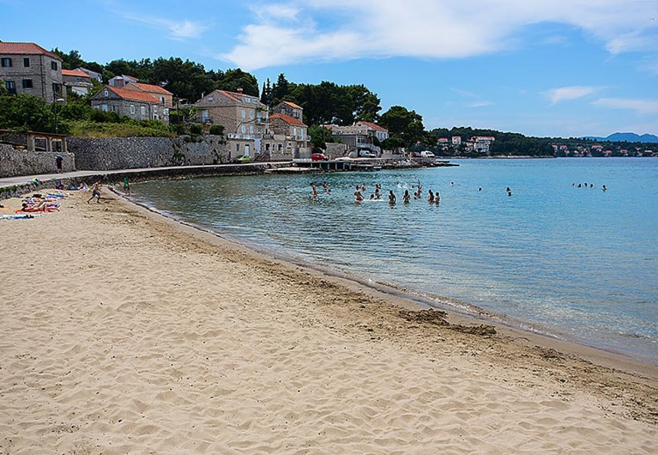 Appartement à Lumbarda - Appartement dans Lumbarda avec vue mer, terrasse, Climatisation, WIFI (869-1)