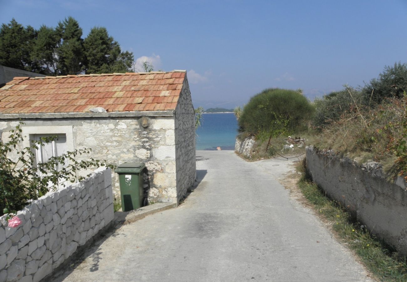 Appartement à Lumbarda - Appartement dans Lumbarda avec vue mer, terrasse, Climatisation, Machine à laver (876-1)