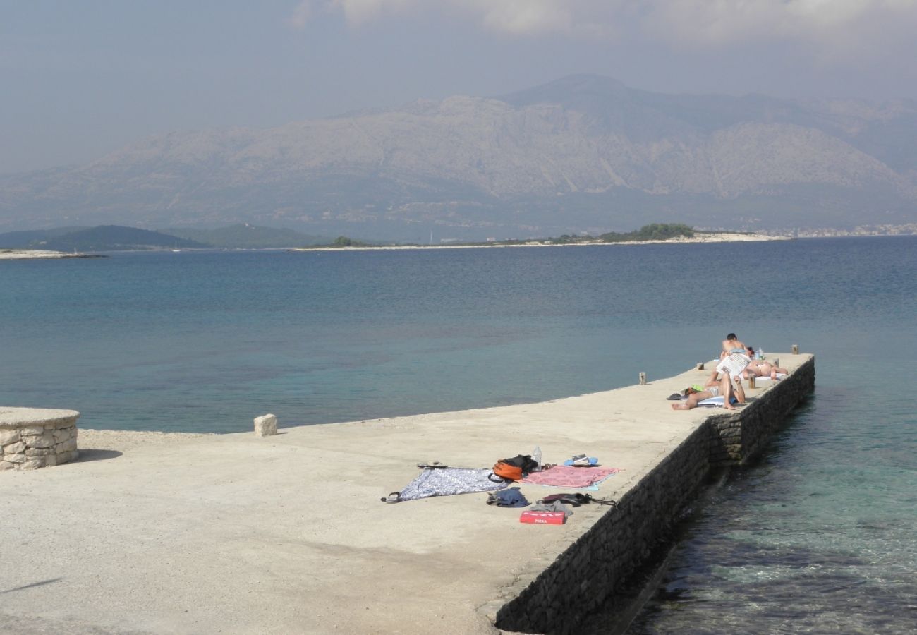 Appartement à Lumbarda - Appartement dans Lumbarda avec vue mer, terrasse, Climatisation, Machine à laver (876-2)