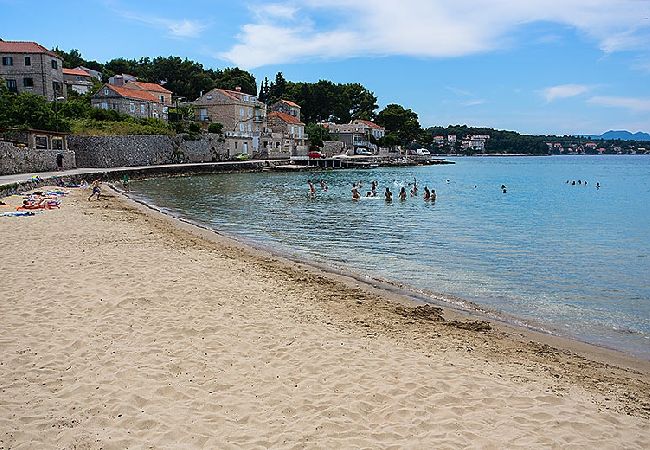 Appartement à Lumbarda - Appartement dans Lumbarda avec vue mer, terrasse, WIFI, Machine à laver (869-3) Appartement à Lumbarda - Appartement dans Lumbarda avec vue mer, terrasse, WIFI, Machine à laver (869-3)