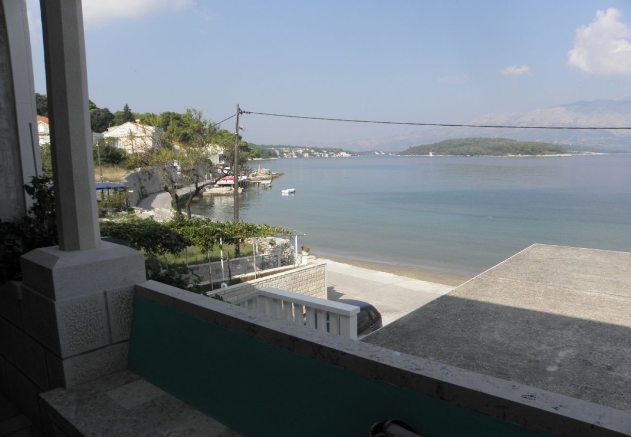 Appartement à Lumbarda - Appartement dans Lumbarda avec vue mer, terrasse, WIFI, Machine à laver (869-3)