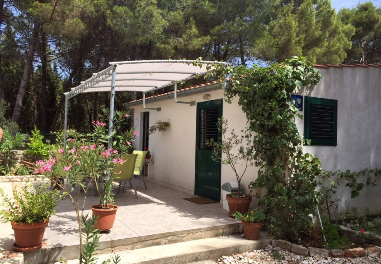 Studio à Veli Rat - Appartement Studio dans Veli Rat avec vue mer, Balcon, Machine à laver (882-1)