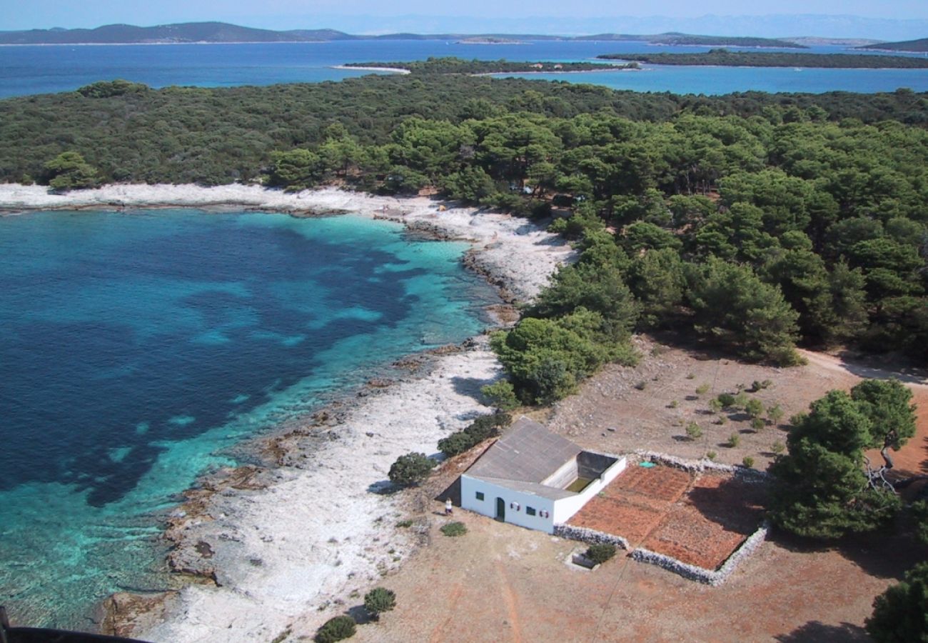 Studio à Veli Rat - Appartement Studio dans Veli Rat avec vue mer, Balcon, Machine à laver (882-1)