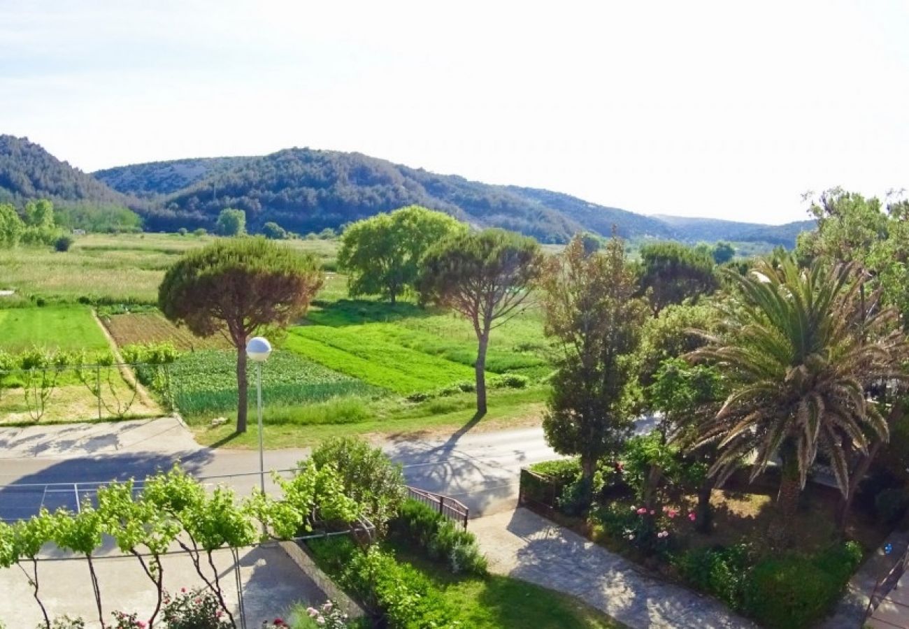 Appartement à Lopar - Appartement dans Lopar avec Balcon, Climatisation, WIFI, Machine à laver (893-1)