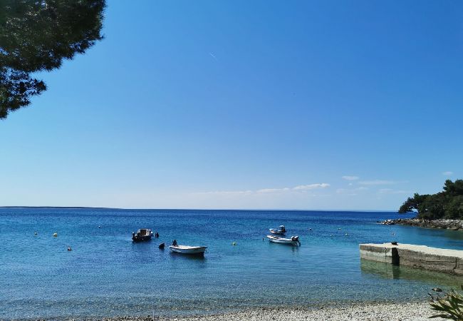 Appartement à Stivan - Appartement dans Stivan avec terrasse, Climatisation, WIFI (920-2) Appartement à Stivan - Appartement dans Stivan avec terrasse, Climatisation, WIFI (920-2)